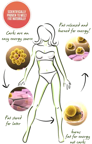 Biopls Slim Pro supplement facts